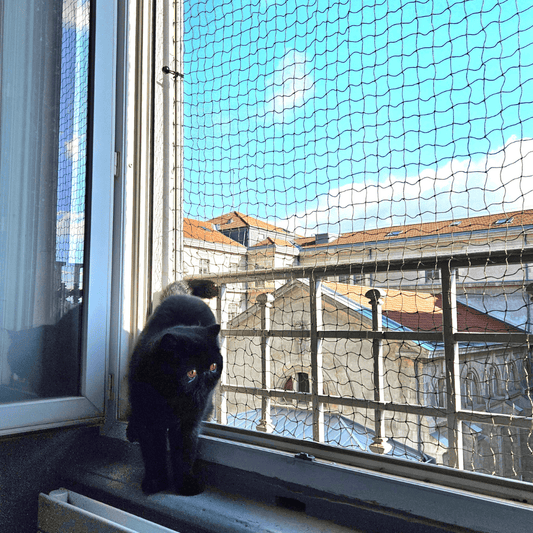 filet protection chat ; filet de protection pour chat ; filet de protection pour chat sans percer ; Climbing Cat