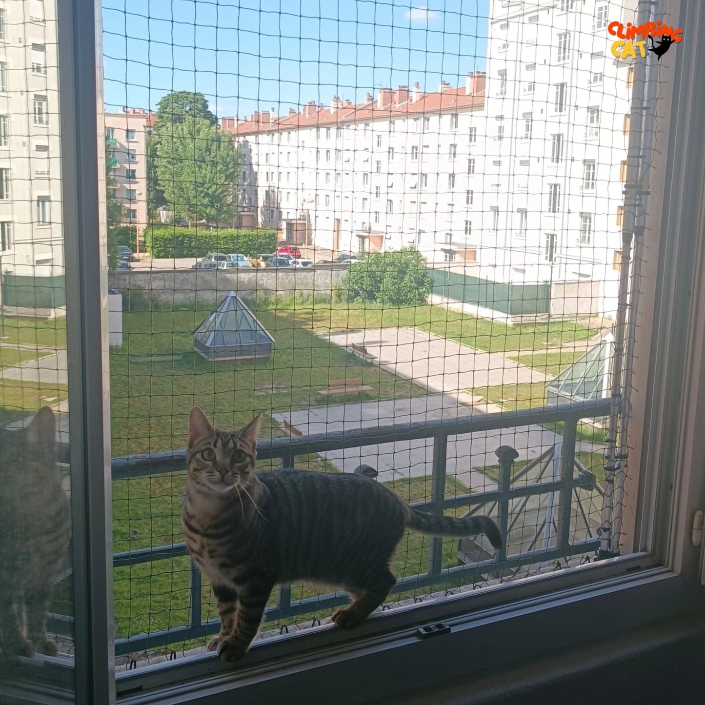 Légende : Chat européen protégé par un filet de protection pour chat, ClimbingCat
