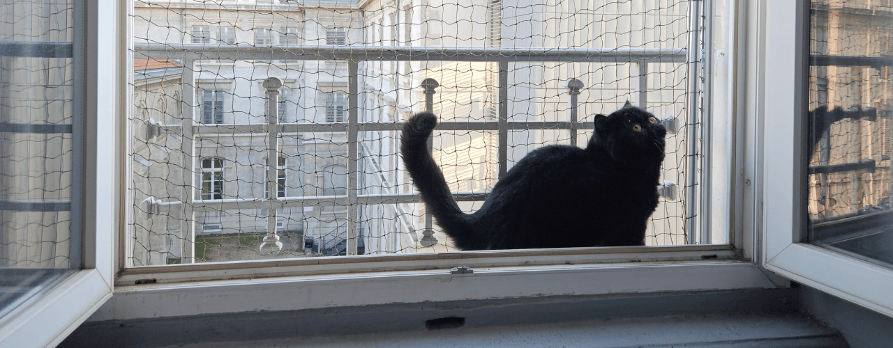 filet protection chat ; filet de protection pour chat ; filet de protection pour chat sans percer ; Climbing Cat 