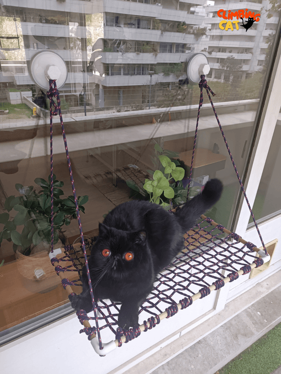 Filet de protection pour chat sans percer | Fenêtres et balcons ...