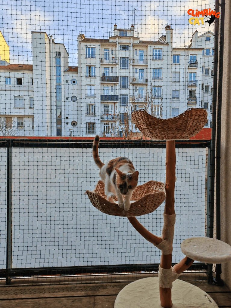 Protection pour chats sans percer - Balcon