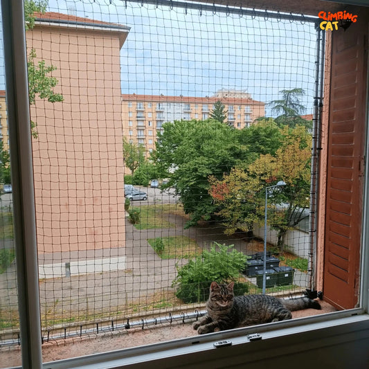 Protection pour chats sans percer - Fenêtre